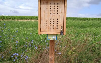 Smarter BeeOtels: new IoT sensors to monitor ecosystem health