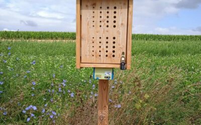 Smarter BeeOtels: new IoT sensors to monitor ecosystem health