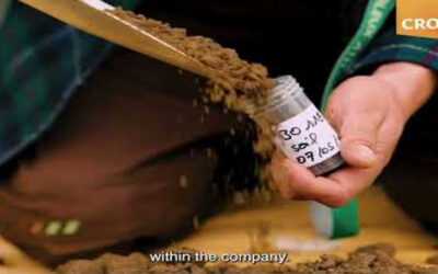 How BeeOmetrics partners are helping protect pollinators and boost biodiversity