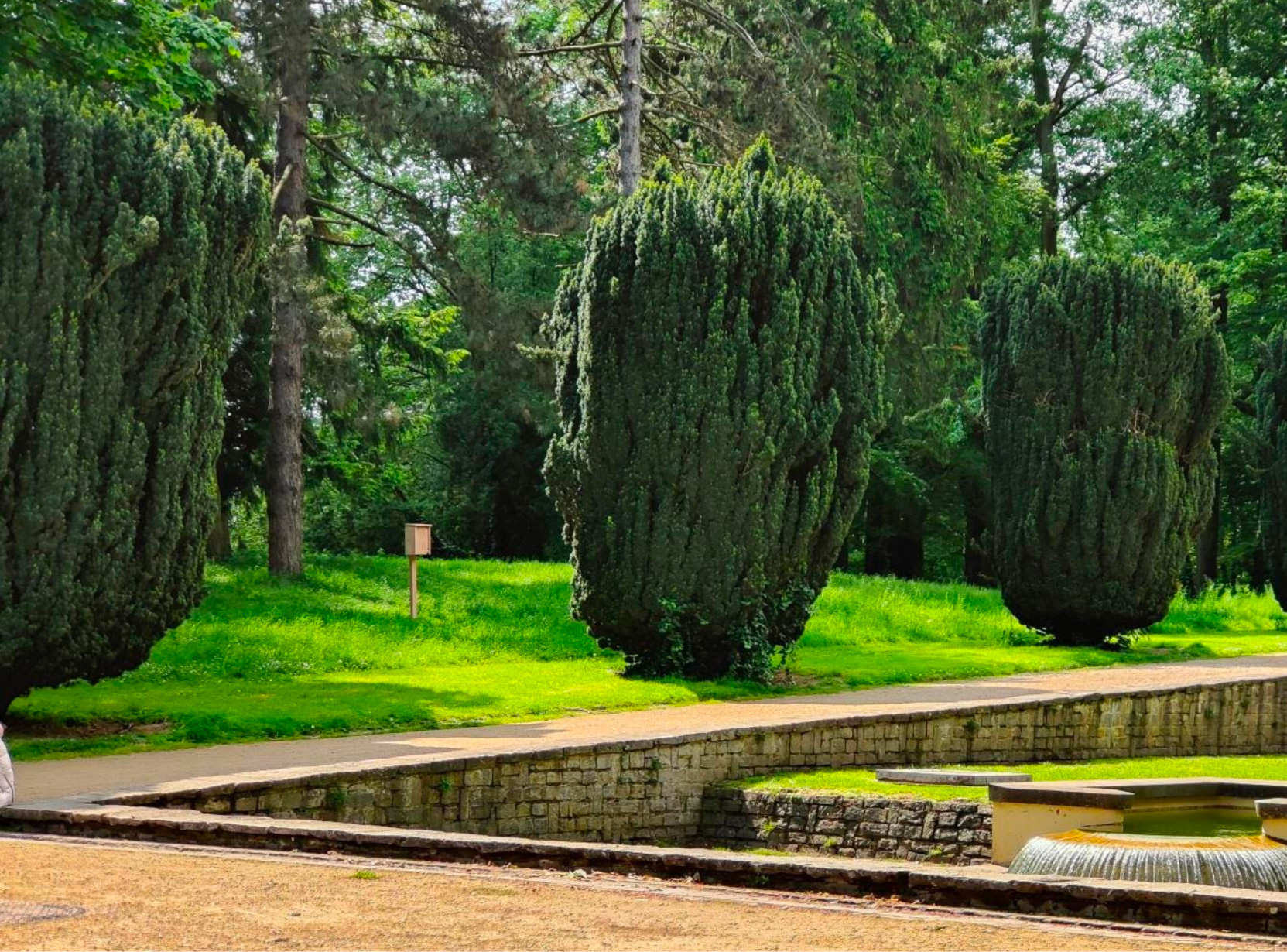 BeeOtel in a park